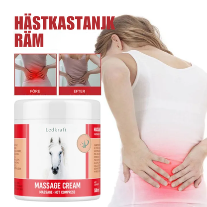 Ledkraft™ | Minska års ledsmerter med 95 % på bara 3 dagar!