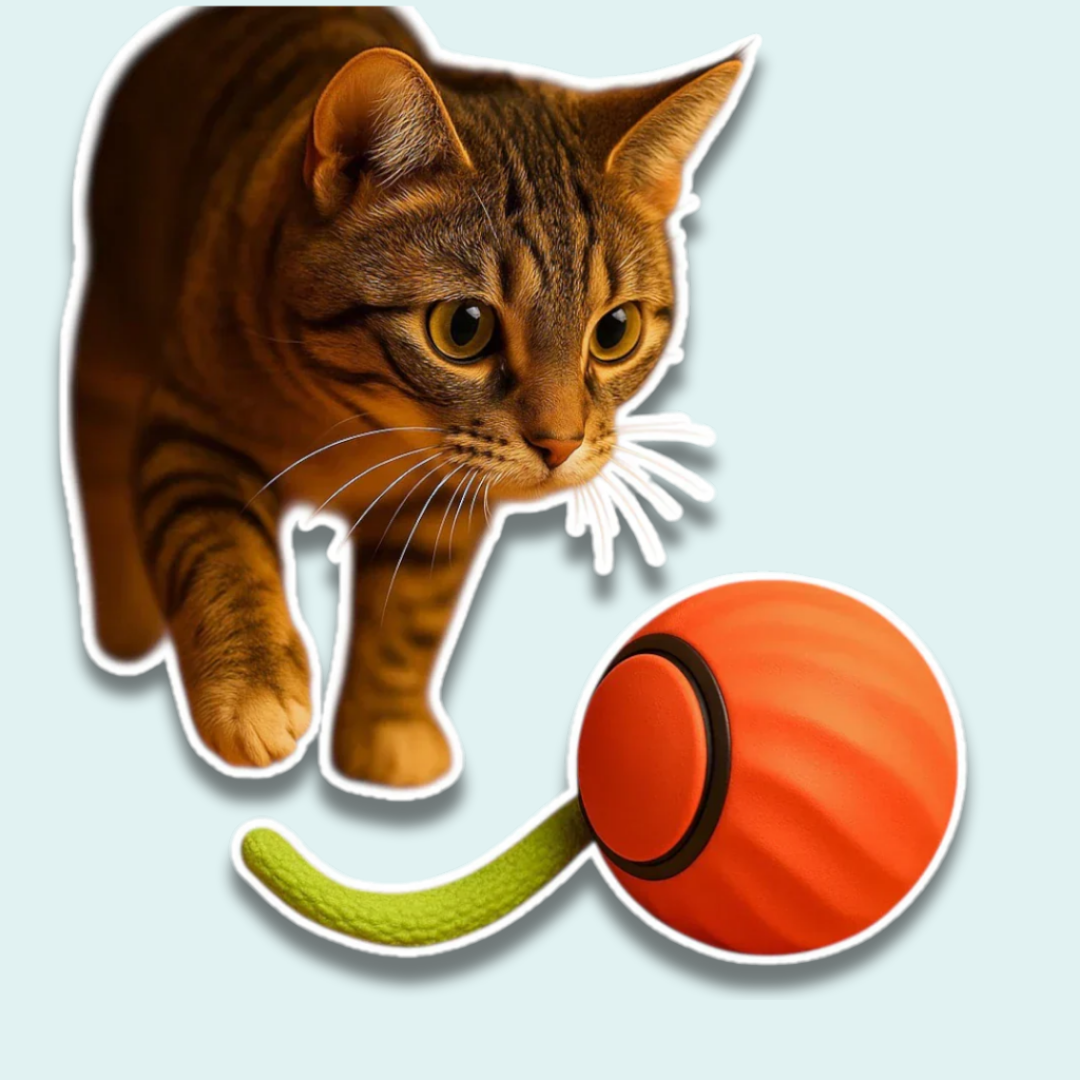 ChaseMate™ | Den ultimata kattleksaken🐾