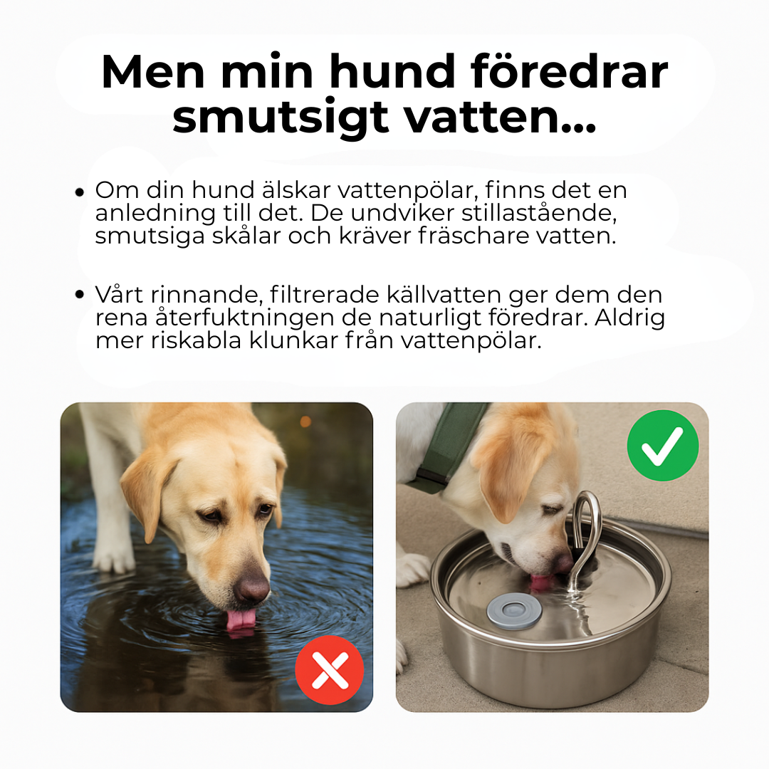 PetSip™ |💧 Över 1 000 hundar kan inte ha fel – den bästa återfuktningen för din fyrbenta vän!