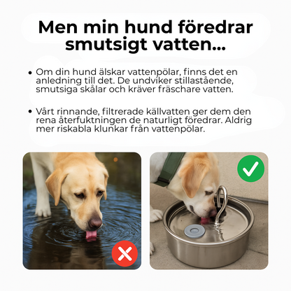 PetSip™ |💧 Över 1 000 hundar kan inte ha fel – den bästa återfuktningen för din fyrbenta vän!