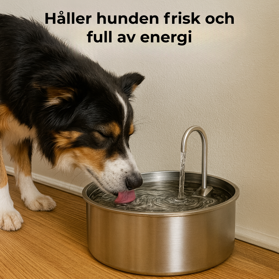 PetSip™ |💧 Över 1 000 hundar kan inte ha fel – den bästa återfuktningen för din fyrbenta vän!