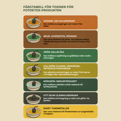 MrDetox™ | Upptäck den bästa versionen av dig själv – den naturliga detoxlösningen som din kropp förtjänar!