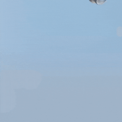 AQUELLE™ | Förvandla din dusch till ett spa – rent vatten, strålande hud och starkare hår med AQUELLE™