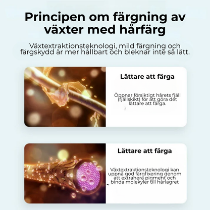 GråTäck™ | Täcker grått hår på sekunder