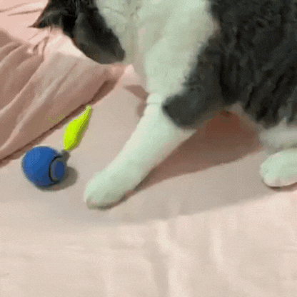 ChaseMate™ | Den ultimata kattleksaken🐾