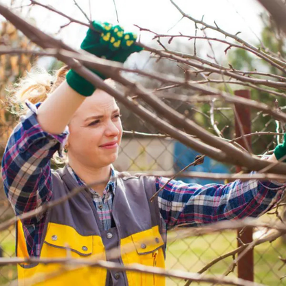 PowerCut™ | Det smarta verktyget som förändrar ditt sätt att trädgårdsera