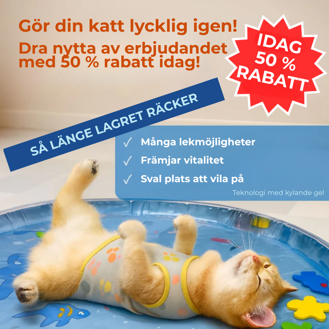 AquaFur™ | Twojemu Kotu Grozi Nuda i Przegrzanie? Czas na Matę, Którą Pokocha!