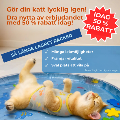 AquaFur™ | Twojemu Kotu Grozi Nuda i Przegrzanie? Czas na Matę, Którą Pokocha!