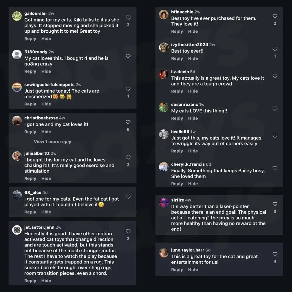 ChaseMate™ | Den ultimata kattleksaken🐾