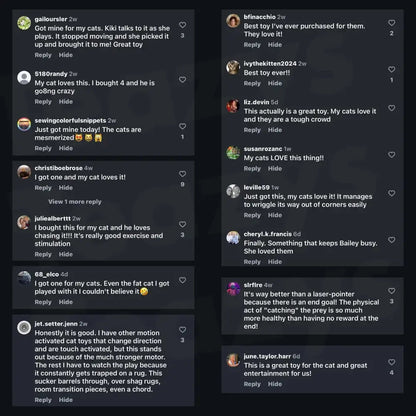 ChaseMate™ | Den ultimata kattleksaken🐾