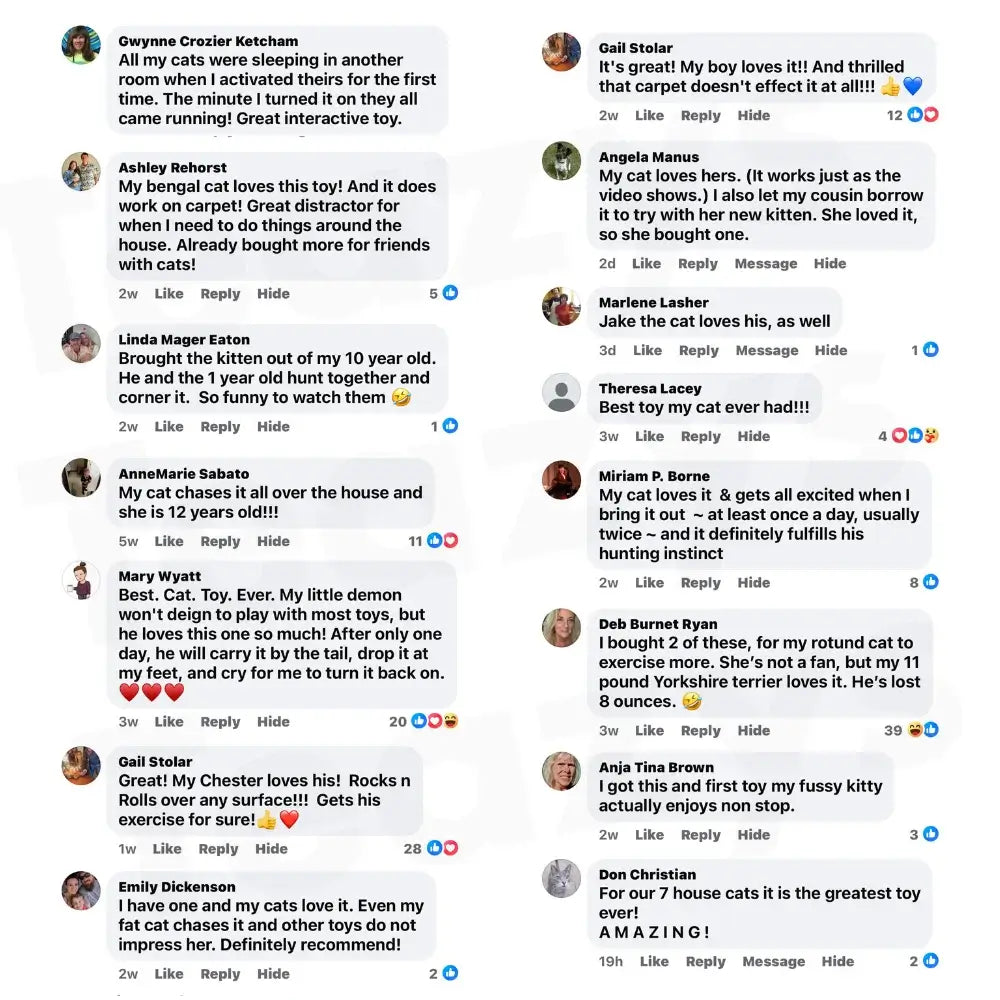 ChaseMate™ | Den ultimata kattleksaken🐾