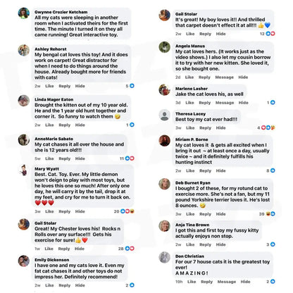 ChaseMate™ | Den ultimata kattleksaken🐾